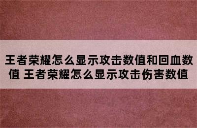 王者荣耀怎么显示攻击数值和回血数值 王者荣耀怎么显示攻击伤害数值